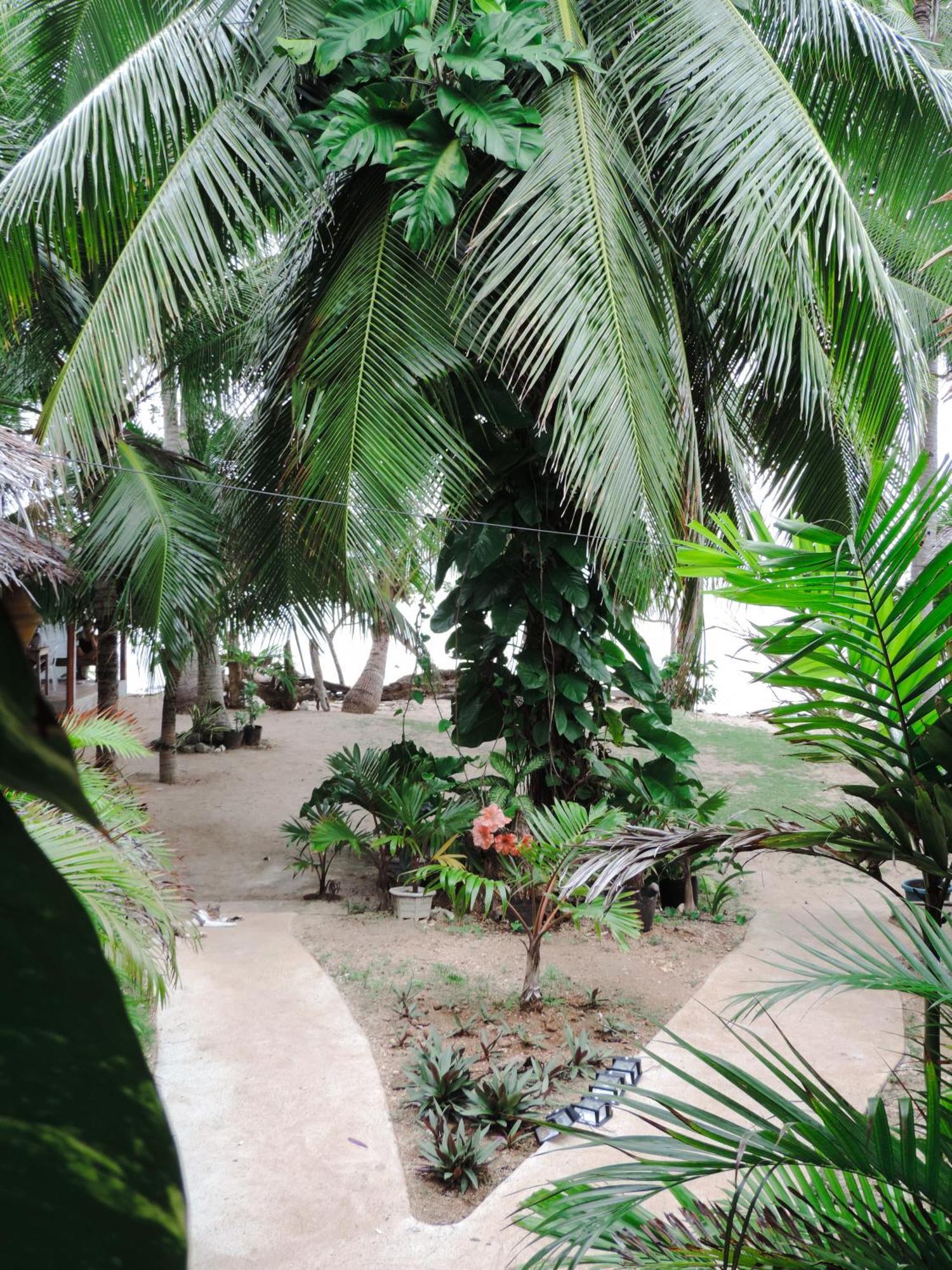 Goldsky Seaview Resort 圣胡安 外观 照片